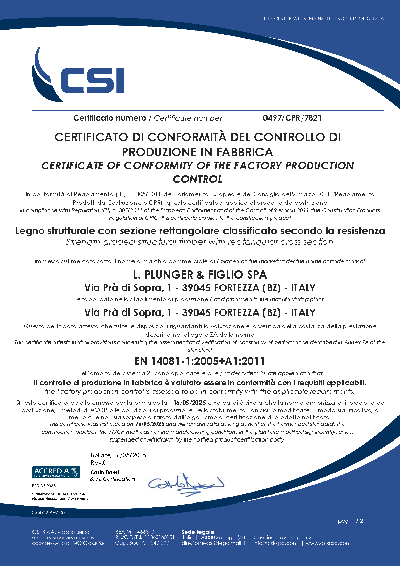 processo di fabbrica Plunger